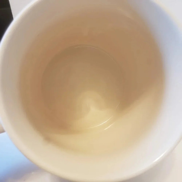 Starbucks Campfire and S'mores  Off,White 18fl oz Coffee Mug. - Picture 6 of 10